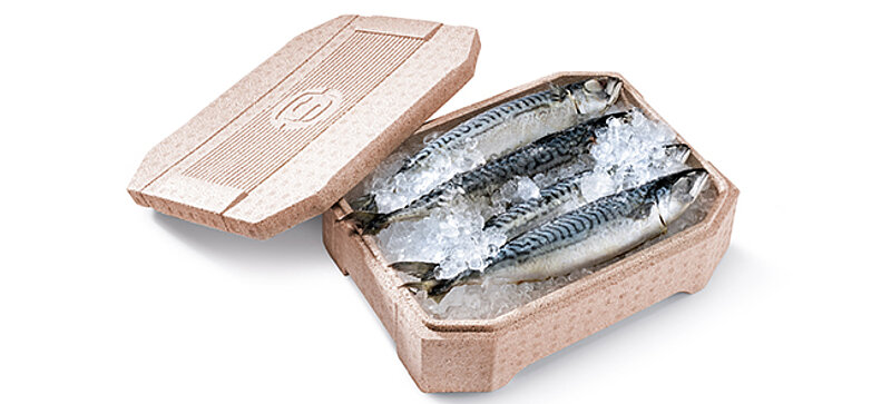 Una caja aislante de bioplástico marrón que contiene pescado fresco y hielo