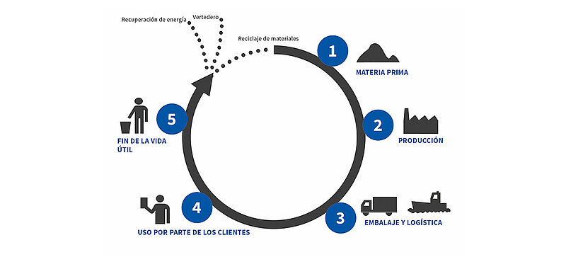 Un diagrama que muestra las cinco etapas del ciclo de vida de un producto